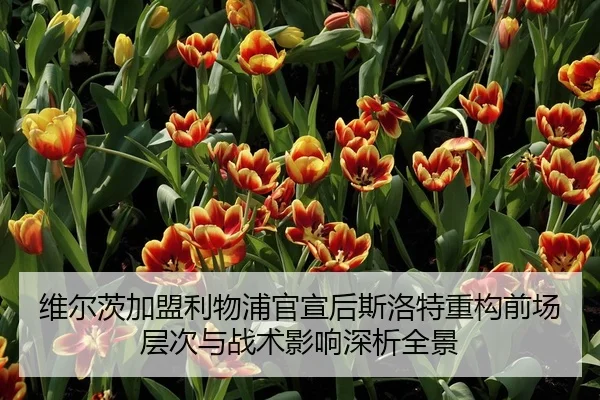 wei-er-ci-jia-meng-li-wu-pu-guan-xuan-hou-si-luo-te-zhong-gou-qian-chang-ceng-ci-yu-zhan-shu-ying-xiang-shen-xi-quan-1-710.jpg